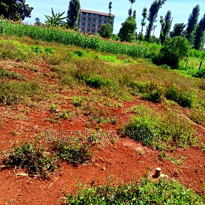 40x90ft Plots for Sale at Kenol Near St Ann High School - Image 9