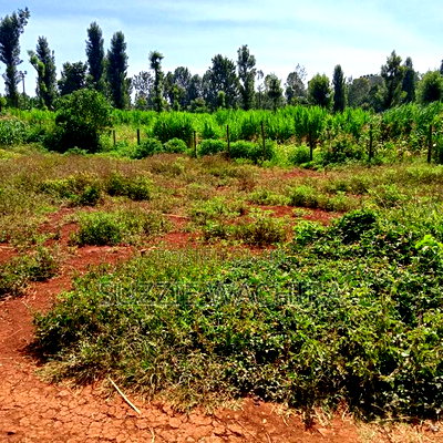 40x90ft Plots for Sale at Kenol Near St Ann High School - Image 1