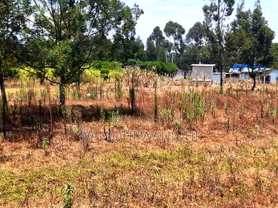 Pata Ploti Hapa Oljoroorok - Image 4