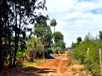 Pata Ploti Hapa Oljoroorok - Image 2