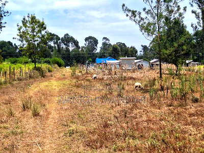 Pata Ploti Hapa Oljoroorok - Image 3