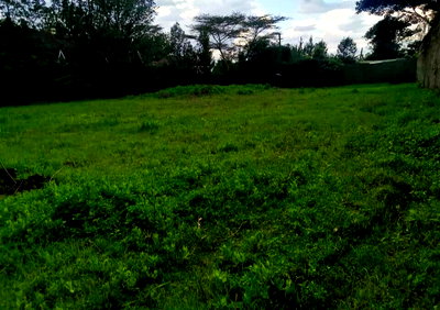 Half Acre in Karen at 36M