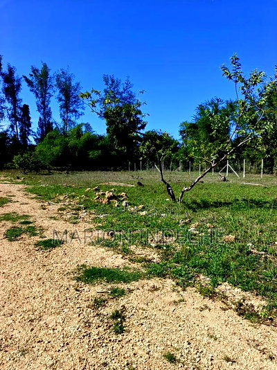 Prime Residential Plots for Sale in Mtwapa - Image 3