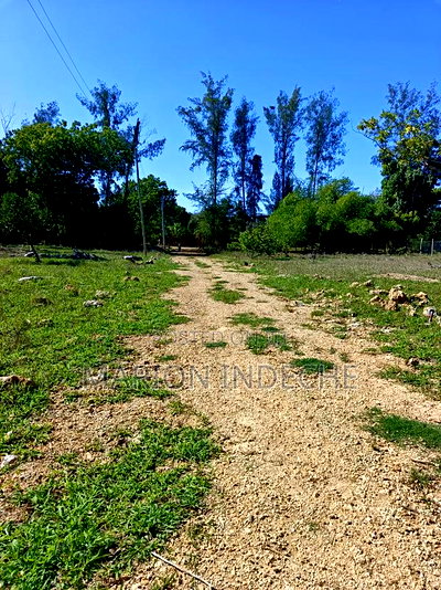 Prime Residential Plots for Sale in Mtwapa - Image 5