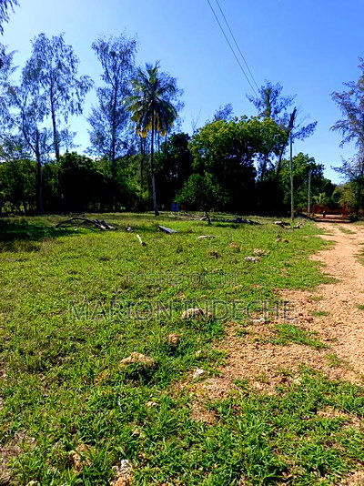 Prime Residential Plots for Sale in Mtwapa - Image 4