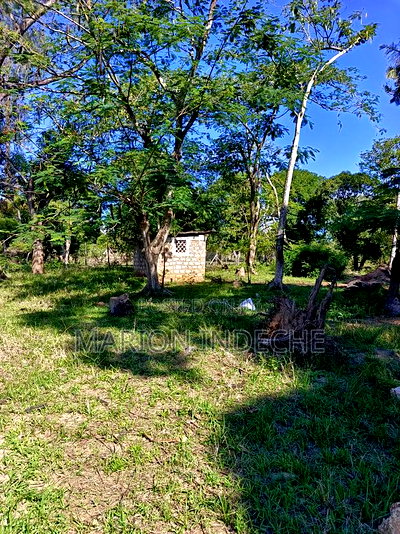 Prime Residential Plots for Sale in Mtwapa - Image 1