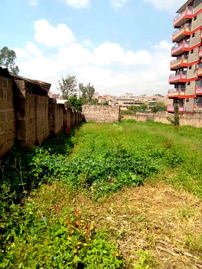 100*100 Plot Fir Sale at Githurai - Image 9
