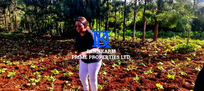 Commercial Lease Opportunity - Kikuyu, Ondiri - Image 9