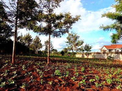 1/4 Acre Residential Land on Sale at Ruiru Mugutha Murera - Image 1