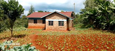 Coffee Plantation 4 Acres - Image 8