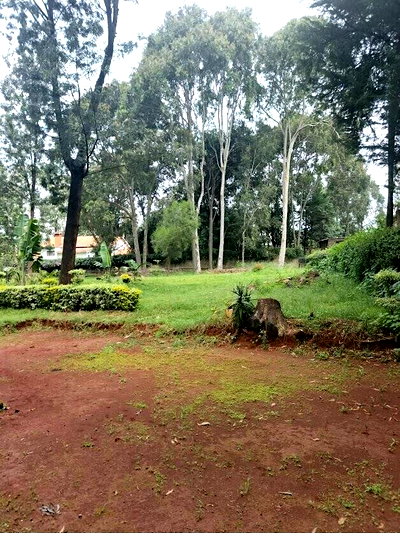 1.9-Acre Commercial Plot with Garden