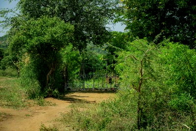 Residential Prime Plots For Sale Malindi - Image 2