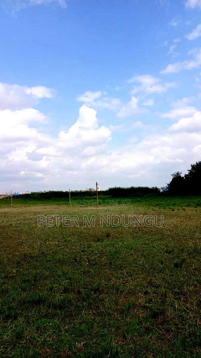 Prime Land on Sale, 2.8acres, Mugutha - Image 6