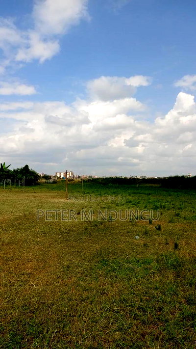 Prime Land on Sale, 2.8acres, Mugutha - Image 5