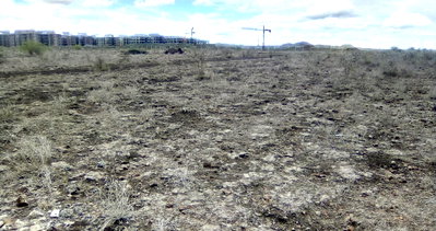 4-Acre Plot for Developers