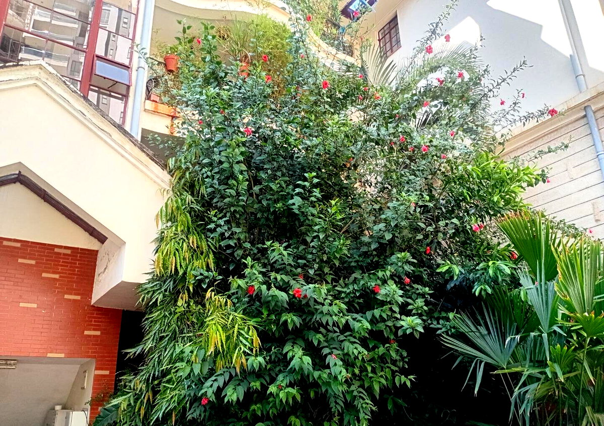 3BR All-Ensuite Townhouse with DSQ – Riverside, Nairobi