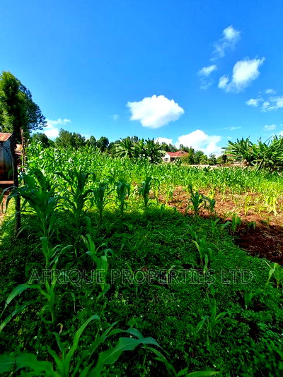Tigoni 3/4 Acre Residential Plot Selling at Kshs. - Image 3