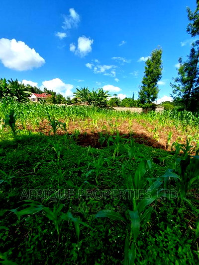 Tigoni 3/4 Acre Residential Plot Selling at Kshs. - Image 2