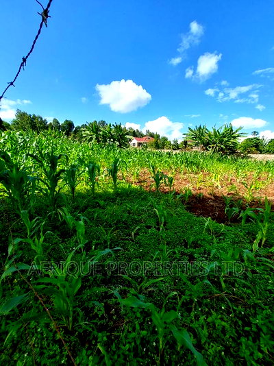 Tigoni 3/4 Acre Residential Plot Selling at Kshs. - Image 1