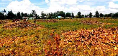 Plots Foe Sale Fronting the Highway at Ngata, Nakuru - Image 4