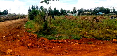 Plots Foe Sale Fronting the Highway at Ngata, Nakuru - Image 3