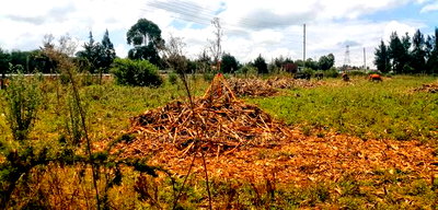 Plots Foe Sale Fronting the Highway at Ngata, Nakuru - Image 1