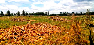 Plots Foe Sale Fronting the Highway at Ngata, Nakuru - Image 2