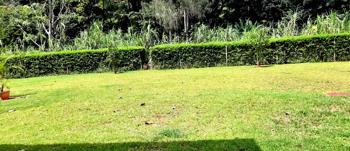 5 En-Suite Townhouse with Fireplace & Pool - Kitisuru