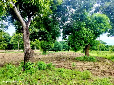 Mtwapa Plots for Sale - Image 5