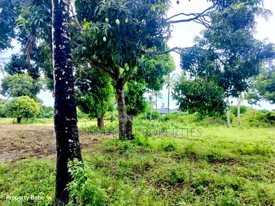 Mtwapa Plots for Sale - Image 4