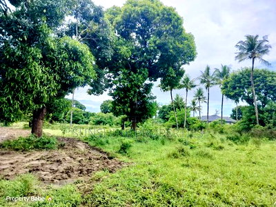 Mtwapa Plots for Sale - Image 8