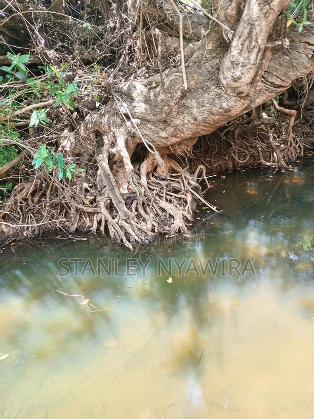 Nanyuki 3 Acreas Next to Mayan Resort