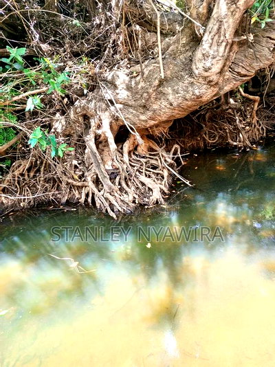 Nanyuki 3 Acreas Next to Mayan Resort - Image 2