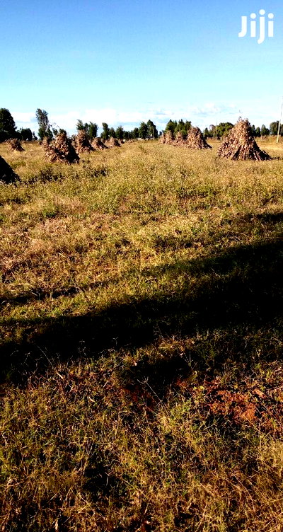 8-Acre Farm with Water & Electricity - Kitale