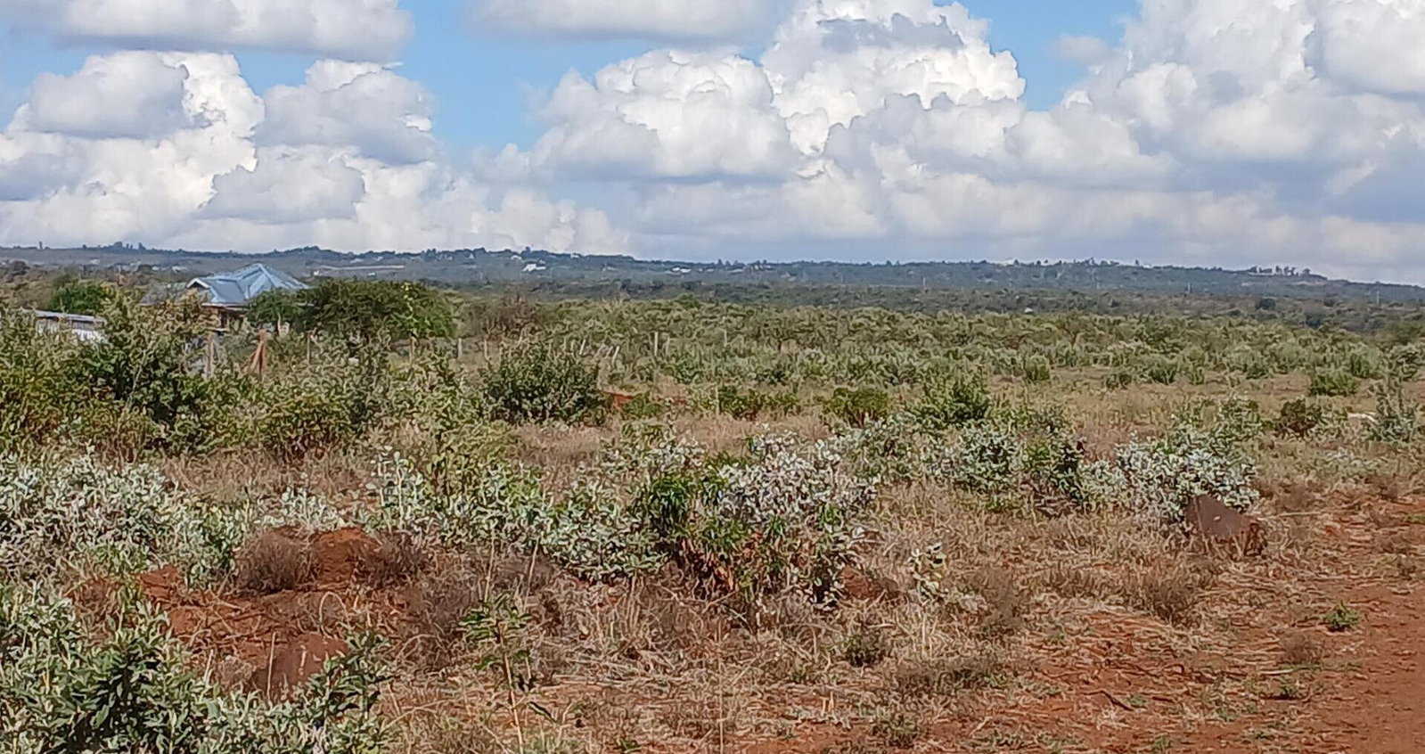 100x100 Plot in Ngong CBD at KSh 1.2M