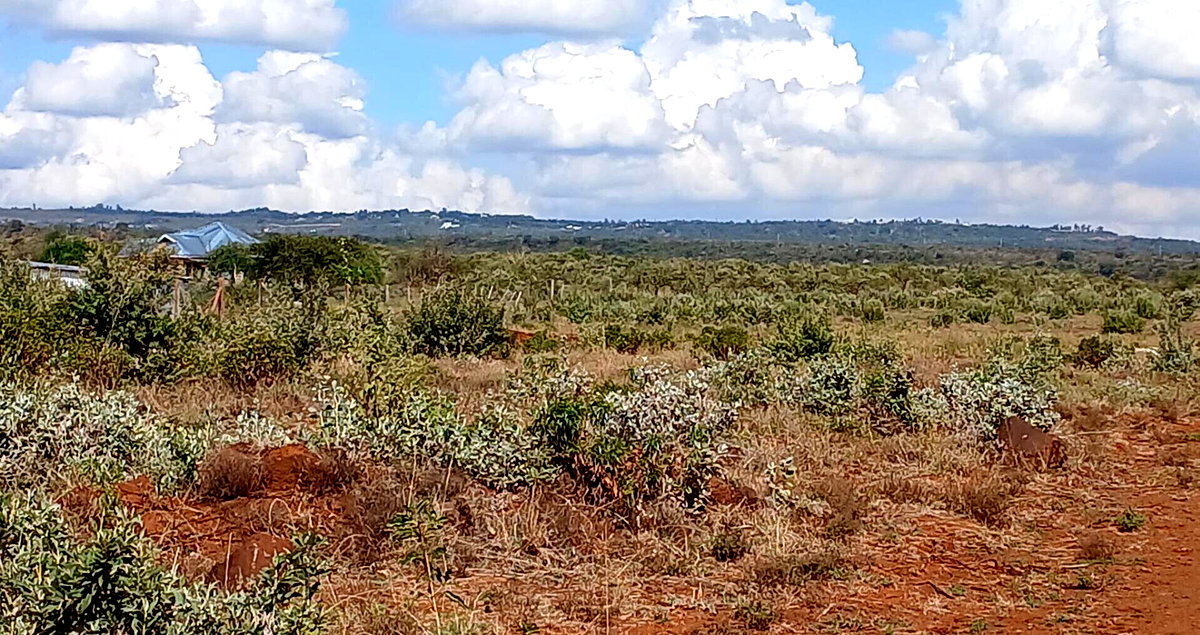 100x100 Plot in Ngong CBD at KSh 1.2M