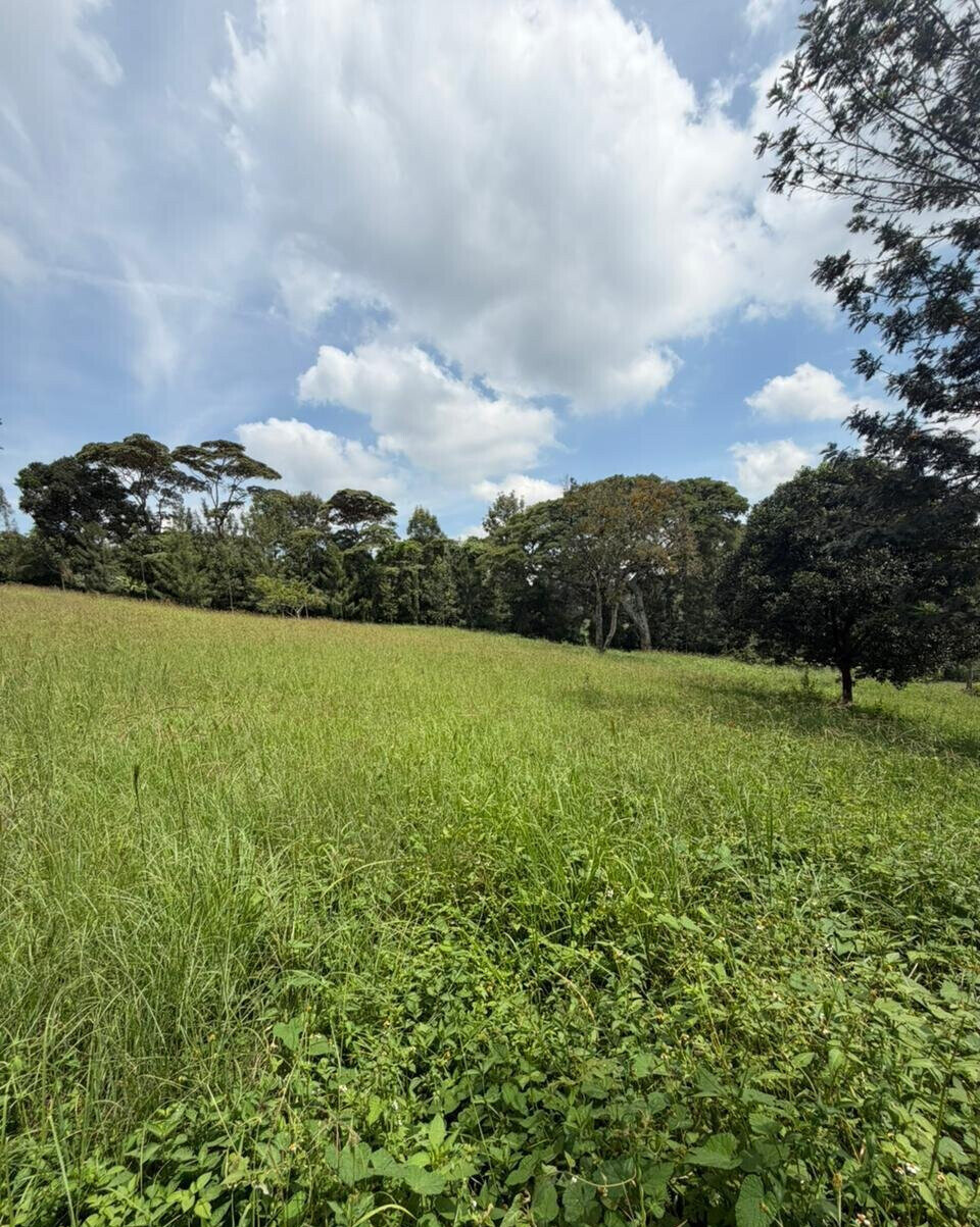 KSh 650M Karen Land Deal