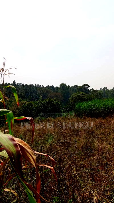 Residential Land on Sale, One Acre, Njathaini Road. Starehe - Image 2