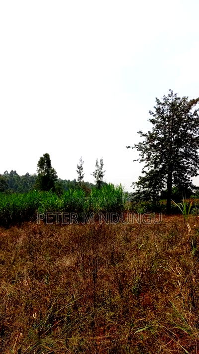 Residential Land on Sale, One Acre, Njathaini Road. Starehe - Image 6