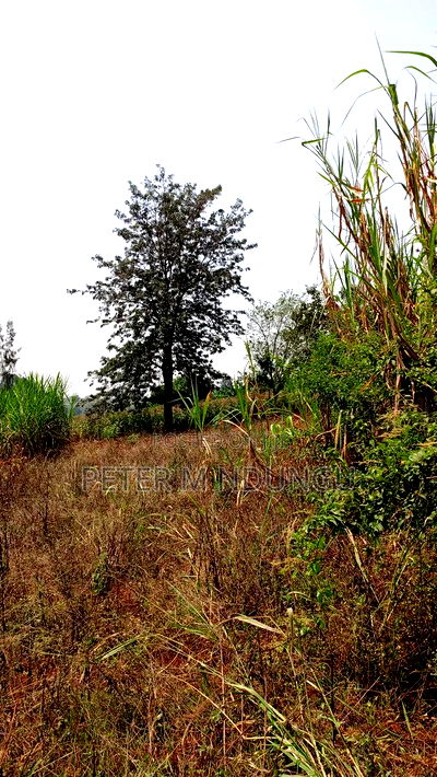 Residential Land on Sale, One Acre, Njathaini Road. Starehe - Image 9