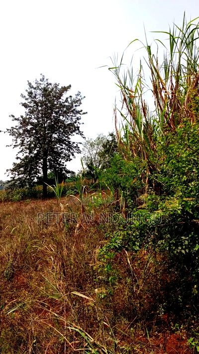 Residential Land on Sale, One Acre, Njathaini Road. Starehe - Image 3