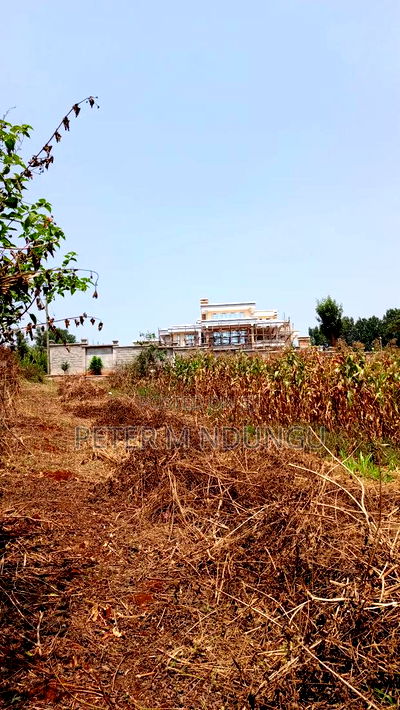 Residential Land on Sale, One Acre, Njathaini Road. Starehe - Image 7