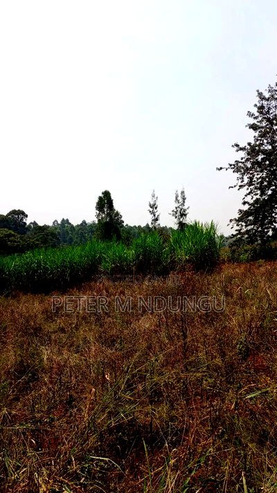 Residential Land on Sale, One Acre, Njathaini Road. Starehe - Image 1