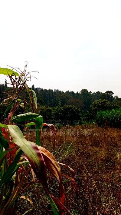 Residential Land on Sale, One Acre, Njathaini Road. Starehe - Image 5