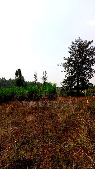 Residential Land on Sale, One Acre, Njathaini Road. Starehe - Image 4