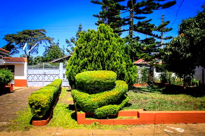 5bdrm Maisonette in Makongeni / Thika for rent - Image 18