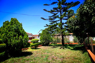 5bdrm Maisonette in Makongeni / Thika for rent - Image 19