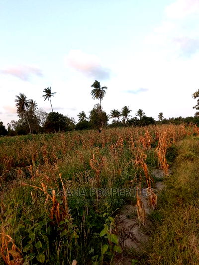 For Sale 12 Acre Agricultural Land Kikambala. - Image 5