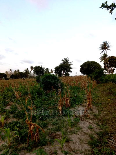 For Sale 12 Acre Agricultural Land Kikambala. - Image 7