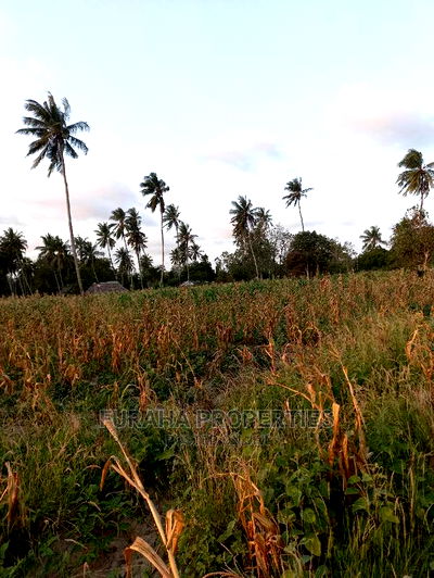 For Sale 12 Acre Agricultural Land Kikambala. - Image 4